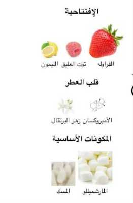 عطر Marshmallow Blush 11