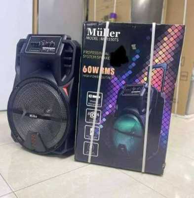 سماعة Muller 12 إنش مع ميكروفون 4